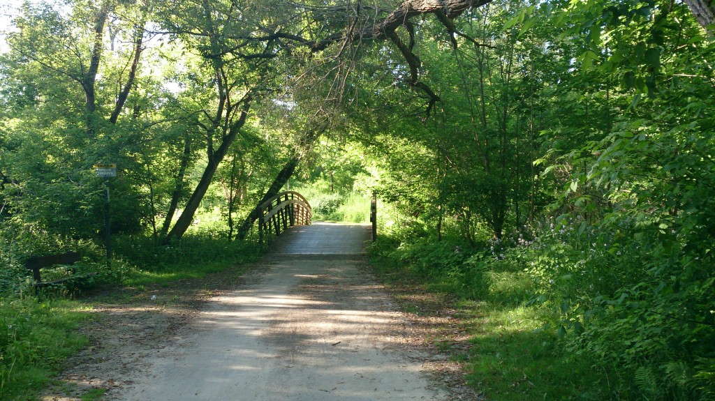The bridge from Rouge Valley to the Waterfront Trail