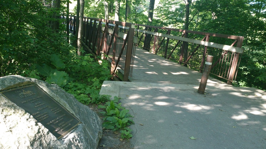 Enjoying the shade over the bridge