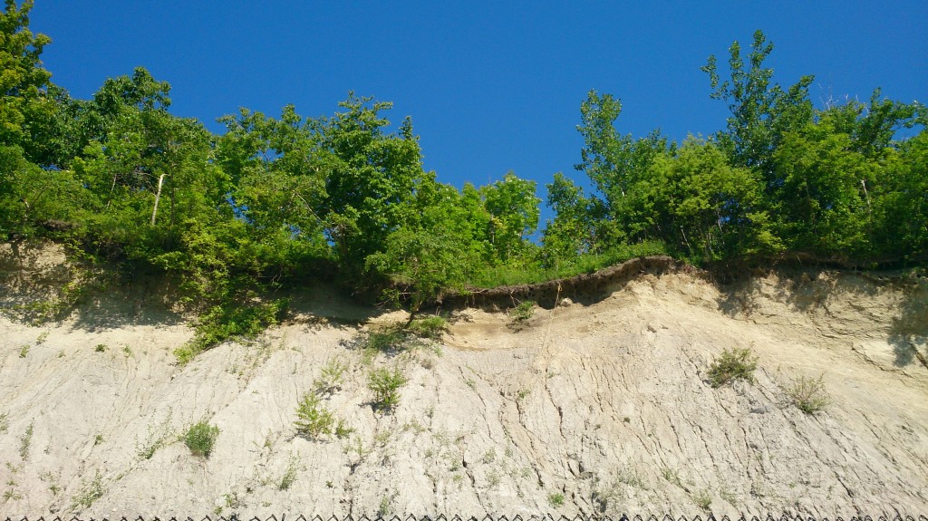 Looking up at the bluffs